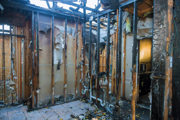 Professional Odor Removal technician working in Hopwood, PA